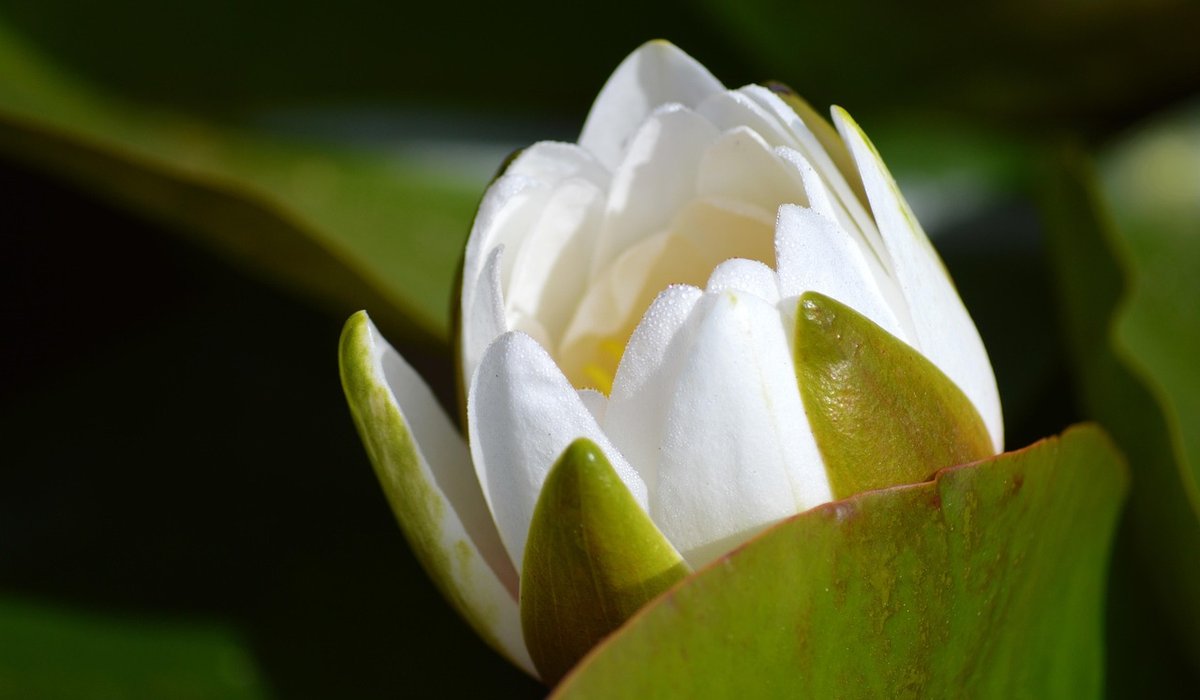 How to Maintain Clear Water Without Harsh Chemicals