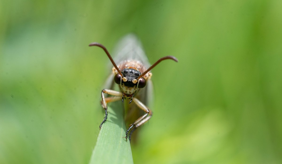 Spring Pond Maintenance Tasks for Healthier Water